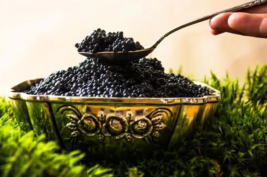Zəkanı artırır, ürəyi qoruyur -
