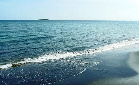 Dəniz suyu hansı xəstəliklərə səbəb ola bilər? -