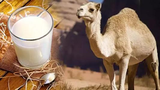 Son illərdə populyarlıq qazanan