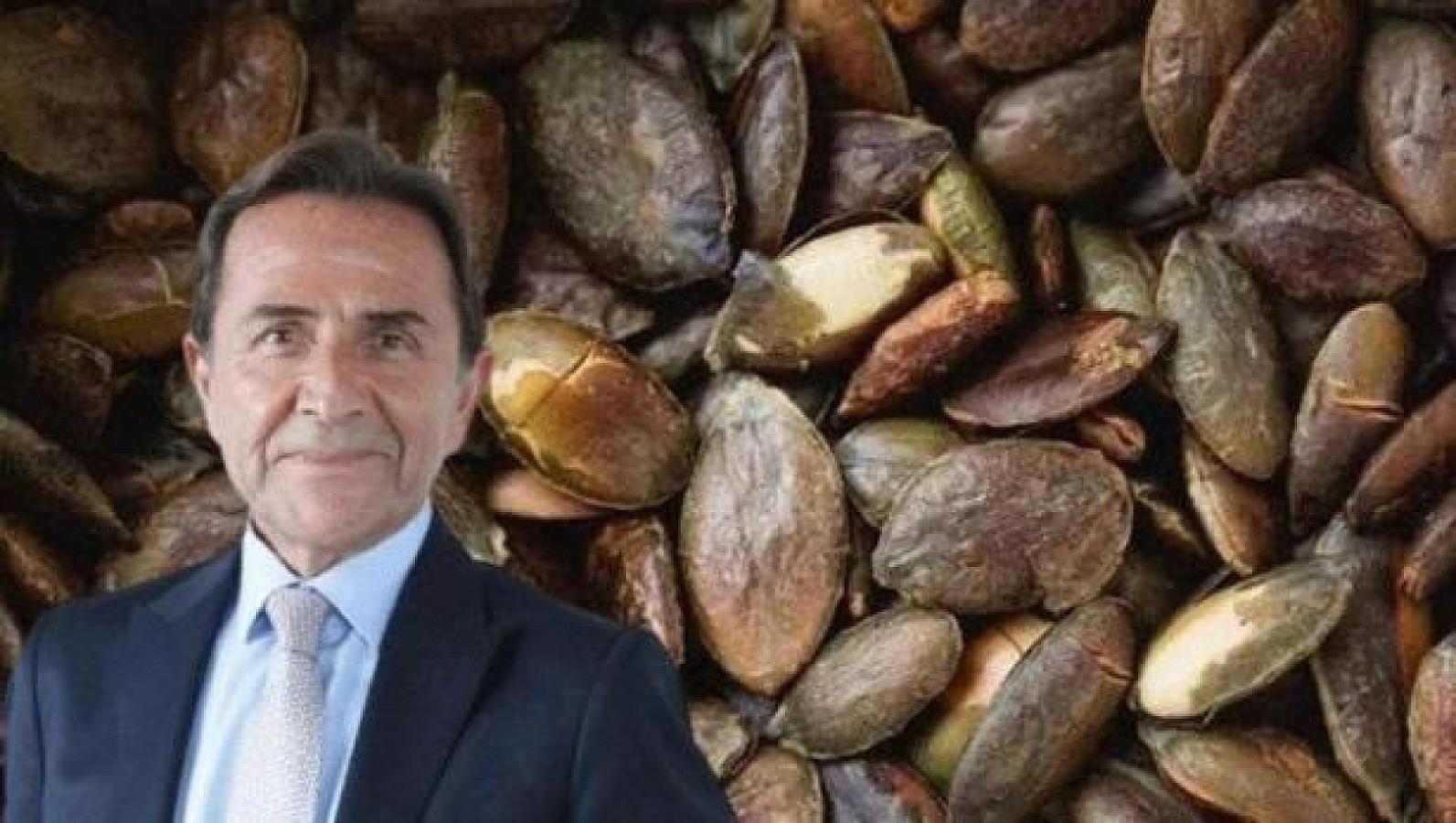Məşhur həkimdən tövsiyə: balqabaq tumunu qabığı ilə yesəniz...