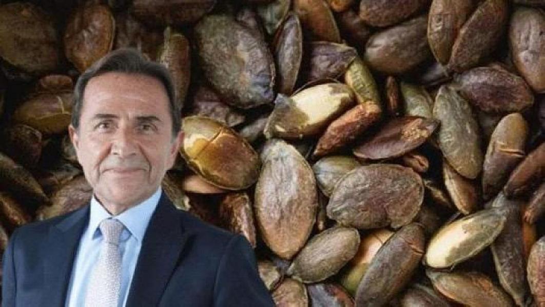 Məşhur həkimdən tövsiyə: balqabaq tumunu qabığı ilə yesəniz...