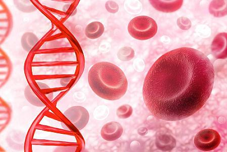 Hemoqlobini artırmaq üçün