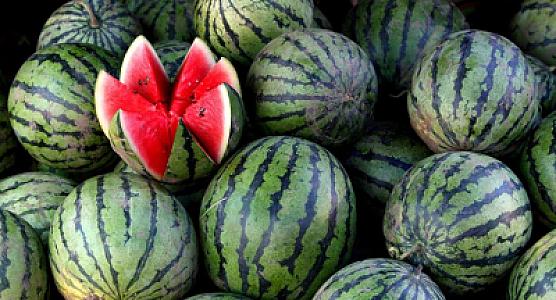 İnsanlarda qarpızla bağlı tərəddüd -