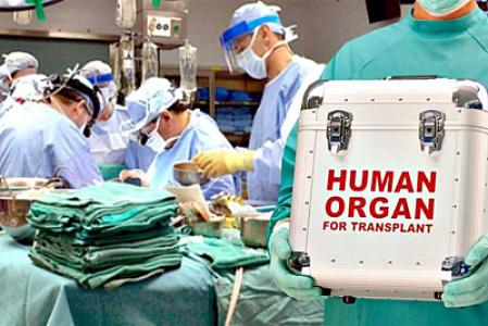 Bu il orqan transplantasiyasına icazə verilən əməliyyatların