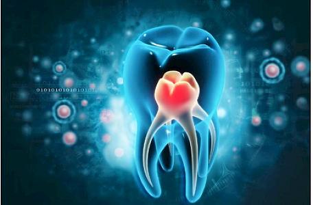 Dünyada ilk dəfə dişi bərpa edən dərman
