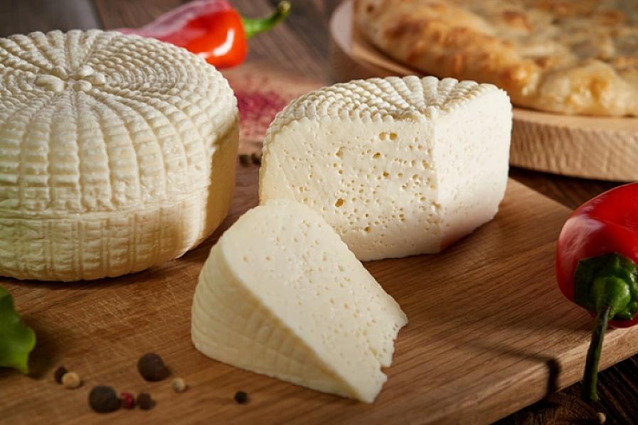 Gündəlik qidalanmada pendirin rolu: