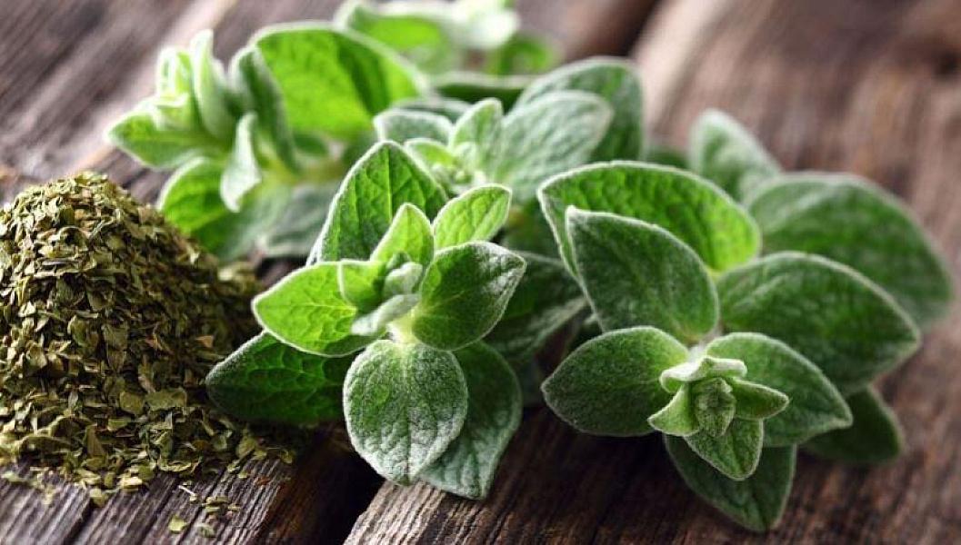 Limondan 100 dəfə güclü və faydalı -