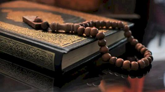 Qurani-kərimdə 3 dəfə adı çəkilən möcüzəvi meyvə: