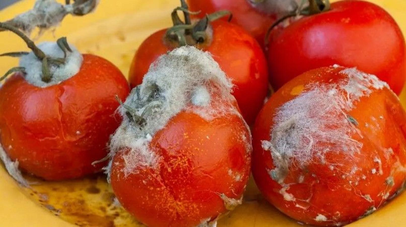 Çürük pomidorlar ağ saçları yox edirmiş –