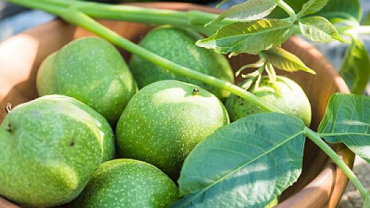 Sütül, yaşıl qozun bilmədiyiniz