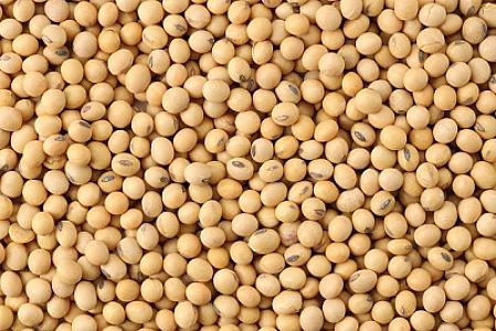 Xərçəng və ürək xəstəliklərinə qarşı gözlənilməz məhsul