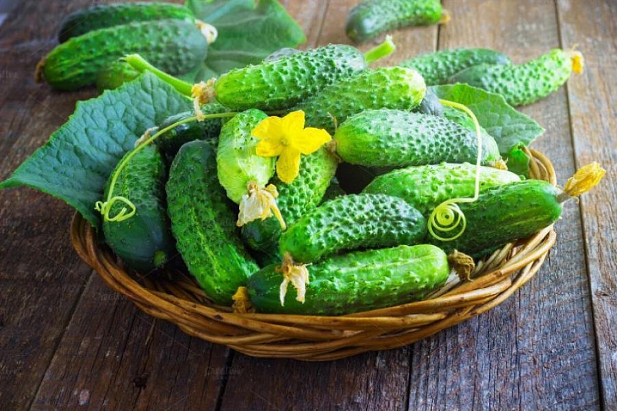 Rayonlarda kilosu 50 qəpiyə olan xiyar niyə Bakıda 2 manatadır? -