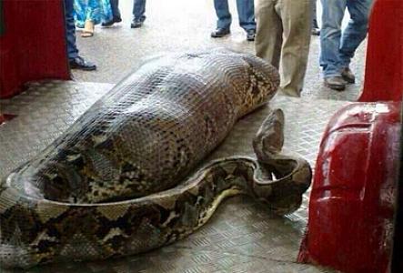 Uşağına dərman almağa gedirdi,