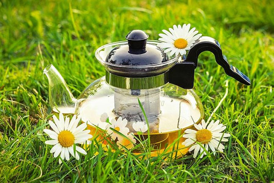 Ürək sağlamlığı üçün ideal içki müəyyən olunub -