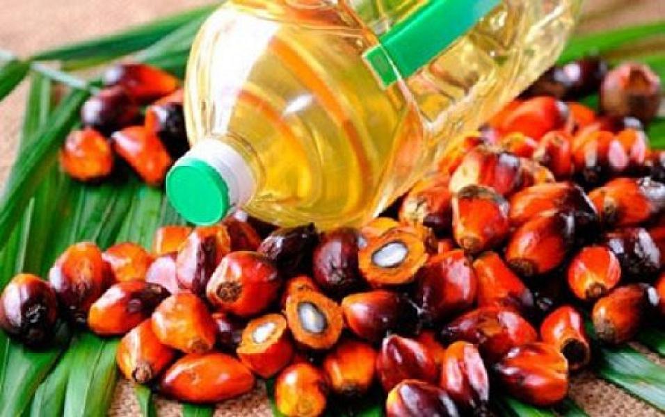 Palma yağını sabun hazırlamaq adı ilə gətirib