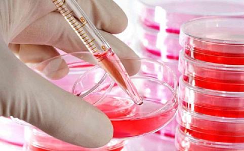 Ötən altı ay ərzində Azərbaycanda İİV-ə yoluxanların