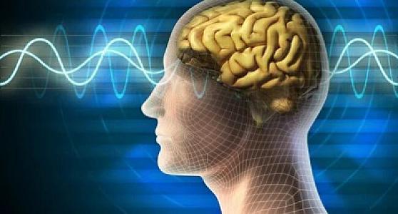 Tibbdə daha bir yenilik – İnsan beynindəki molekulların quruluşu