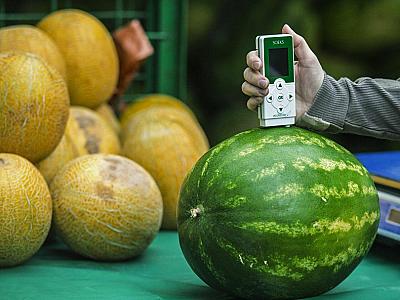 Dərmanlı qarpız və yemiş - Qaraciyər və böyrəklərin düşməni