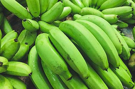 Həzmə faydalı, probiotik təsirli -