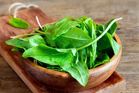 Saysız-hesabsız şəfası olan