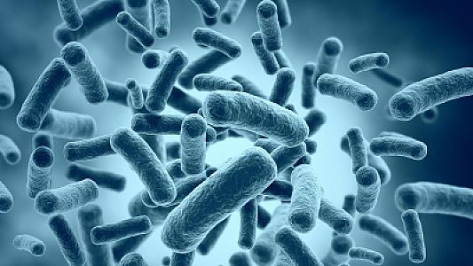 Alimlərdən yeni kəşf: