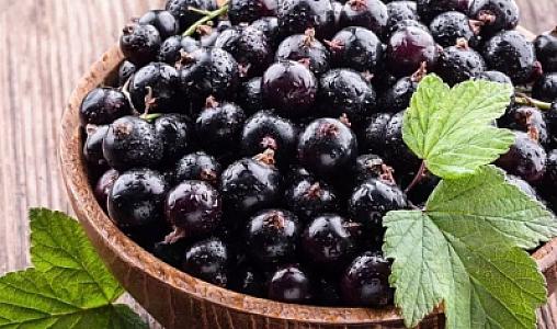 Bu giləmeyvəni 7 gün yeyən 10 il cavanlaşır -