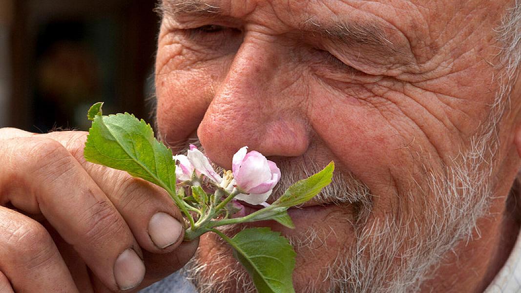 Alimlər kişilərin uzunömürlülüyünün