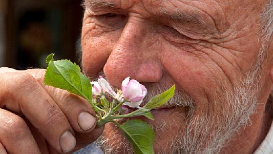 Alimlər kişilərin uzunömürlülüyünün