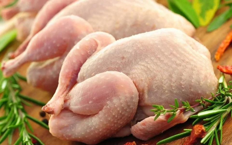 Azərbaycanda toyuq əti məhsullarına dair