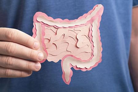 Bağırsaqları qoruyan molekullar