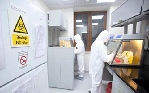 Azərbaycanda heyvanlar arasında monitorinqlər keçiriləcək