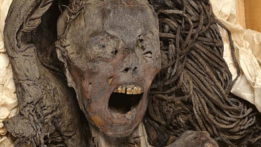 Alimlər qışqıran qadının mumiyasının