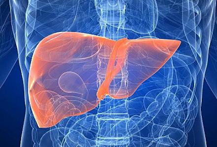 Qaraciyəri sağlam saxlamağın