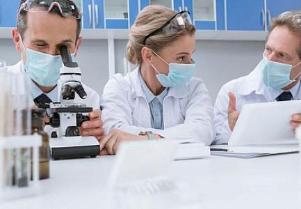 Fol turşusunun bilinməyən