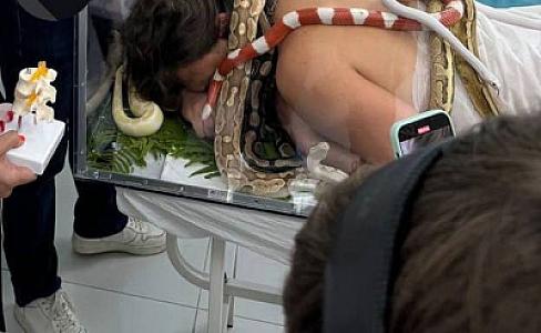 Yeni müalicə üsulu: İlan terapiyası