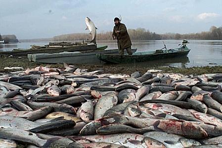 Gədəbəydə qorxduğumuz şey nədir? - Ekoloji fəlakət