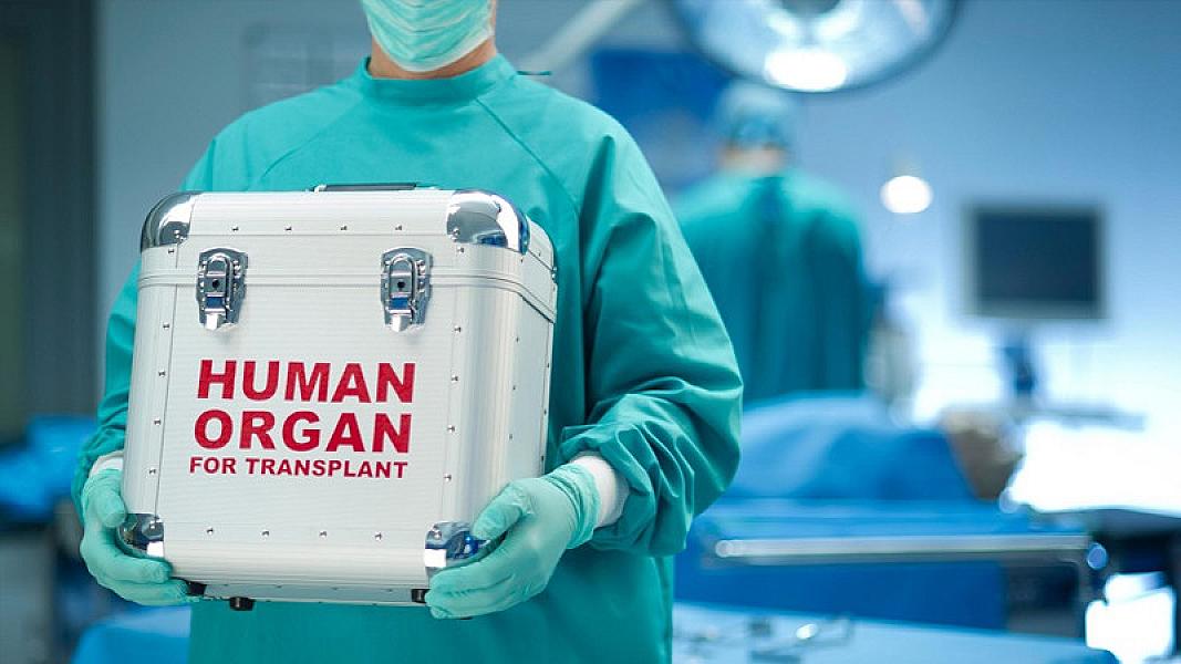 Azərbaycanda 794 nəfər donor