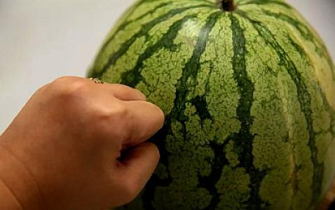 Yaxşı qarpız almaq üçün DIRNAQ ÜSULU: