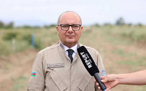 ANAMA sədri: Vətən müharibəsindən indiyədək