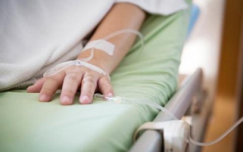 Soss!..- Ermənistanda ilk dəfə həşəratlardan keçən bu virus yayıldı...-