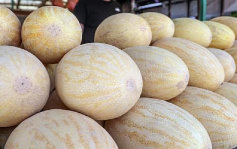 Qovunun insan üçün təhlükəli xüsusiyyətləri