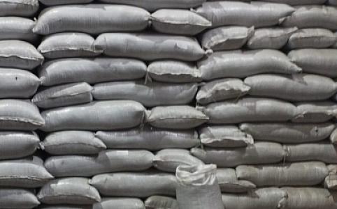 Rusiyadan Azərbaycana gətirilən günəbaxan tumunun yararsız olduğu aşkarlanıb