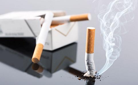 İnstitut direktoru: "Siqaret tüstüsünə məruz qalanlar siqaret çəkənlər qədər sağlamlıq problemləri yaşayır"