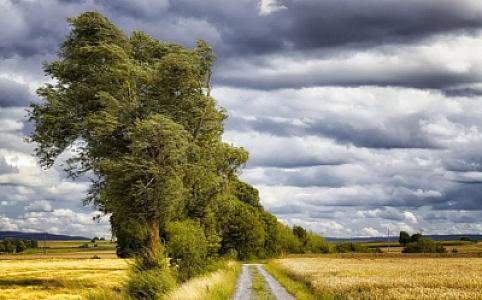 Bakı və bəzi bölgələrdə güclü külək əsəcək, leysan yağacaq -