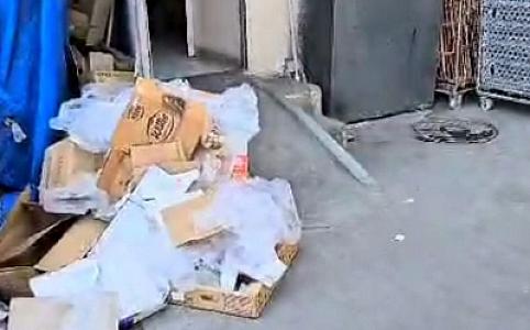 Dəniz sahilini zibilləyənlər