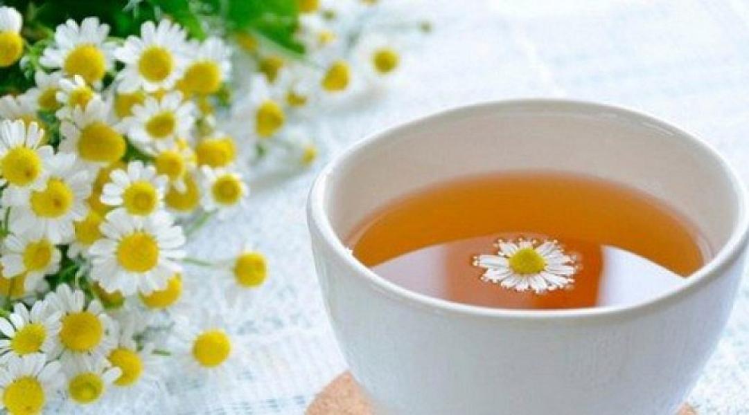 Aloe, çobanyastığı və adaçayının bilmədyiniz müalicəvi təsiri - Bir günə sağaldır