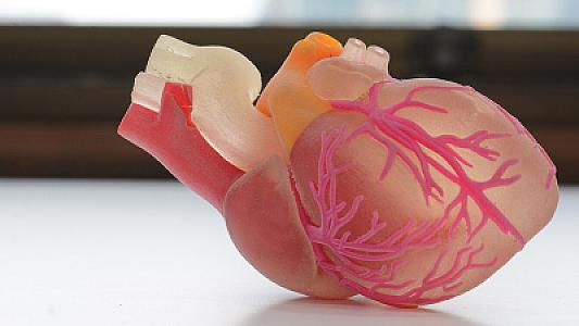 Bağırsaqlarda birbaşa ürəyə təsir edən