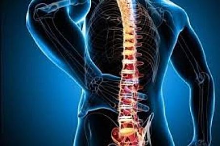 Qolunuzun qalınlığı onurğa sağlamlığı ilə əlaqədardır –