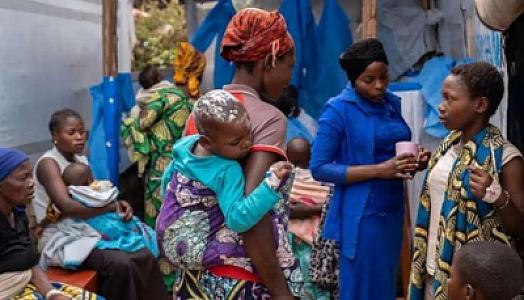 Meymunçiçəyinə ən çox