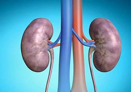 Böyrəkləri sağlam saxlayan